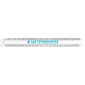 30cm Architect's Scale Rule - Spot Colour