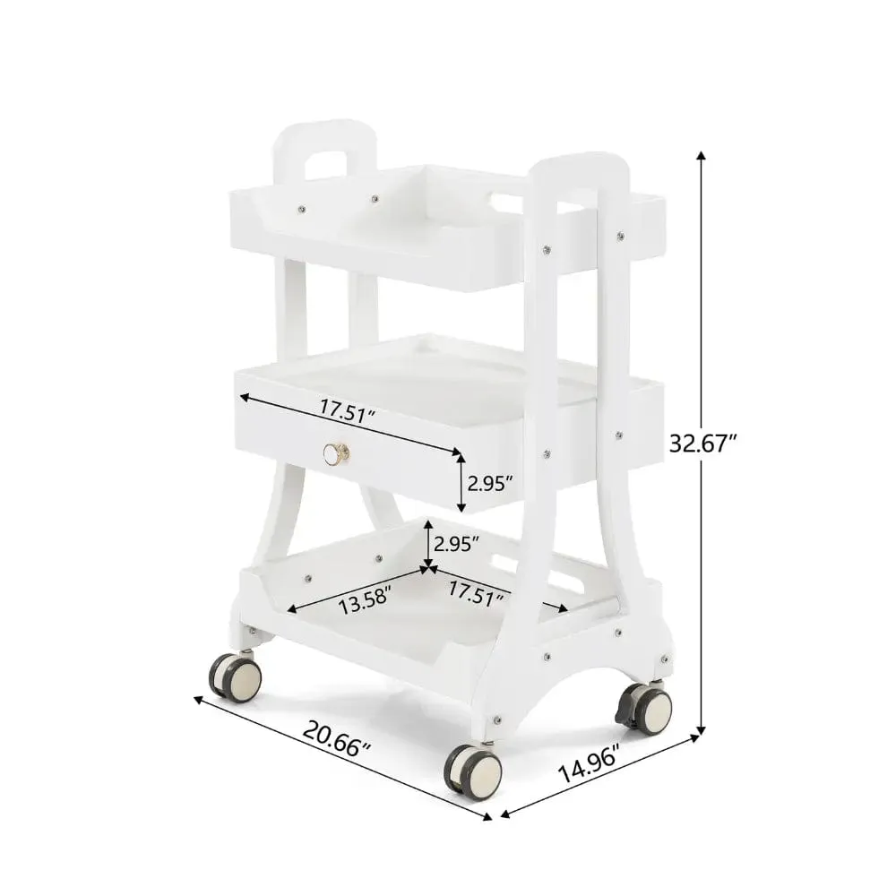 Beauty Salon Rolling Trolley ML004 with one Drawer