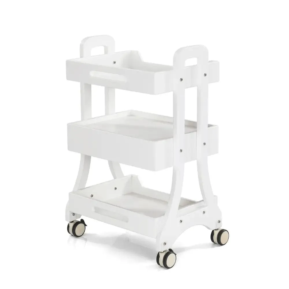 Beauty Salon Rolling Trolley ML004 with one Drawer