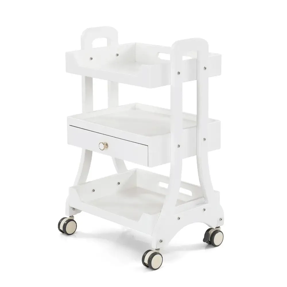 Beauty Salon Rolling Trolley ML004 with one Drawer