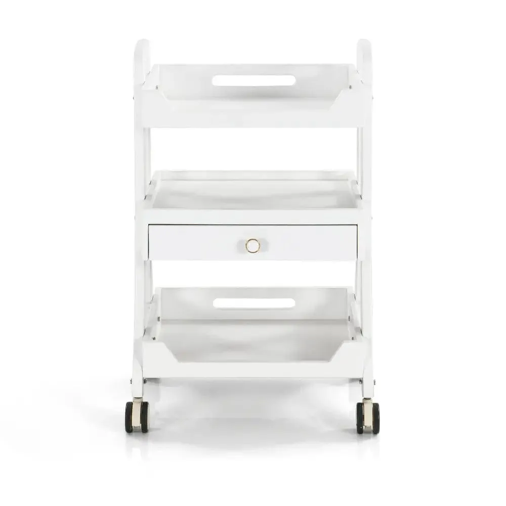 Beauty Salon Rolling Trolley ML004 with one Drawer