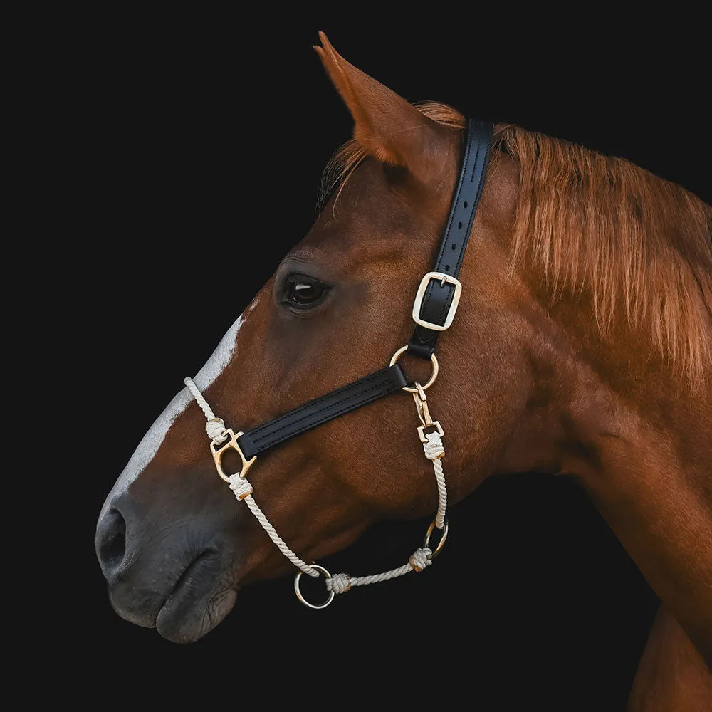 Black Leather Lariat Hybrid Halter