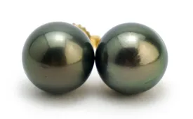 Midnight 11mm Statement Pearl Stud Earrings